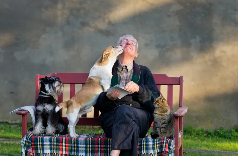 Pet Therapy Volunteers